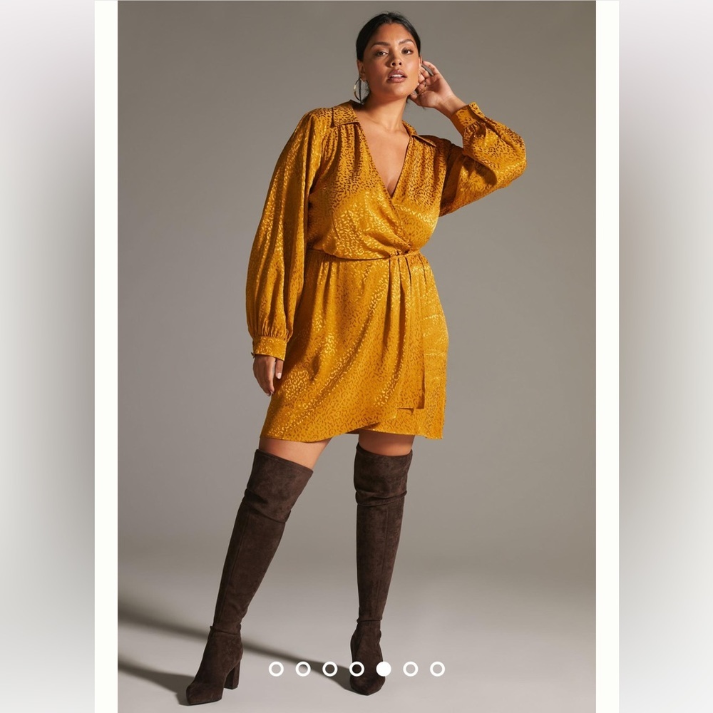 Anthropologie LONG-SLEEVE MINI DRESS SIZE 2X.